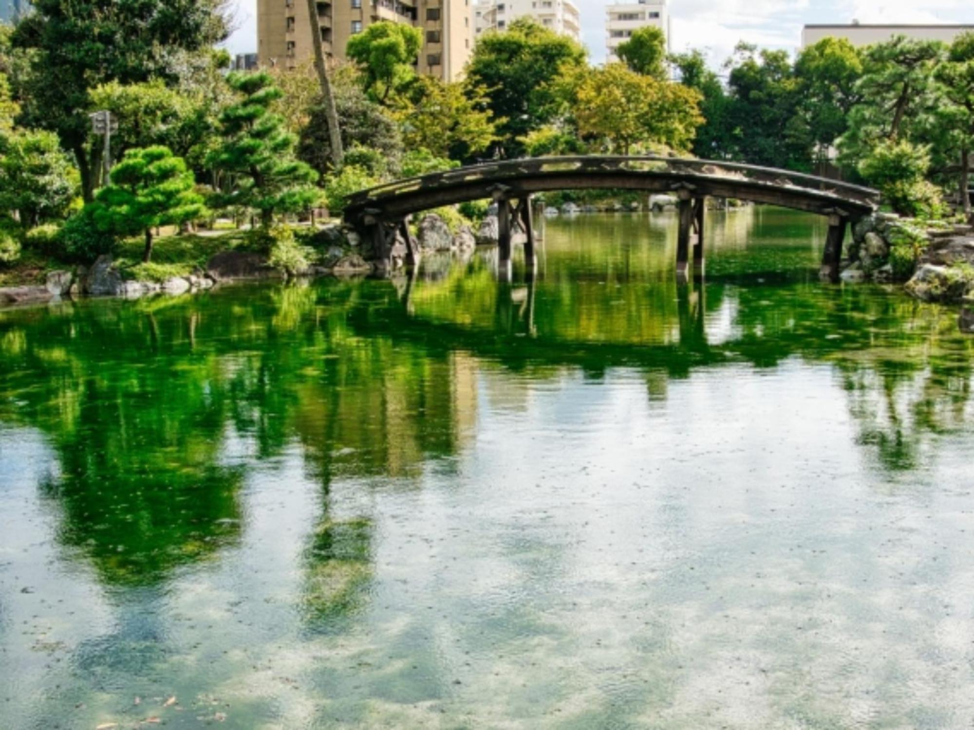 さと茂旅館 京都市 エクステリア 写真